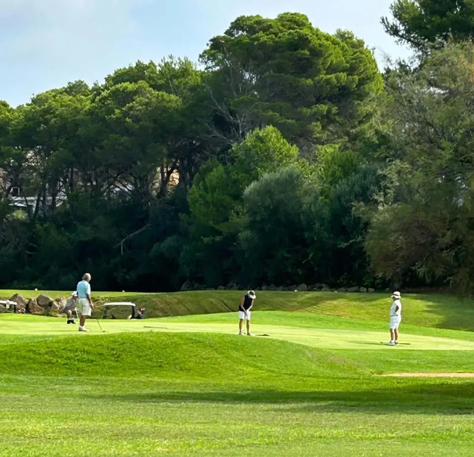 Campo de golf de Son Parc entre pinos